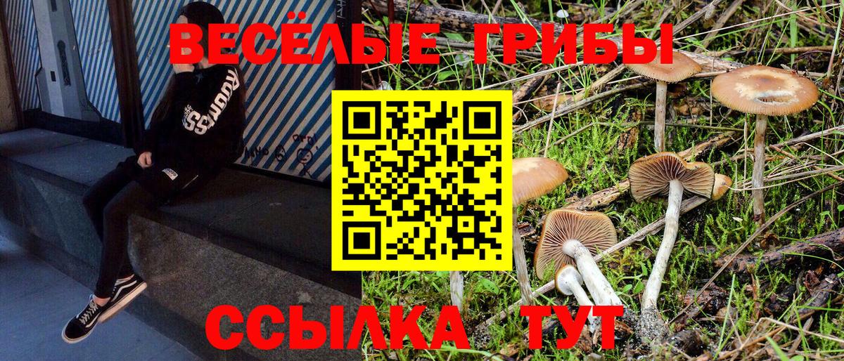 Горячий Ключ  Псилоцибиновые грибы Psilocybe  Вход с VPN 
